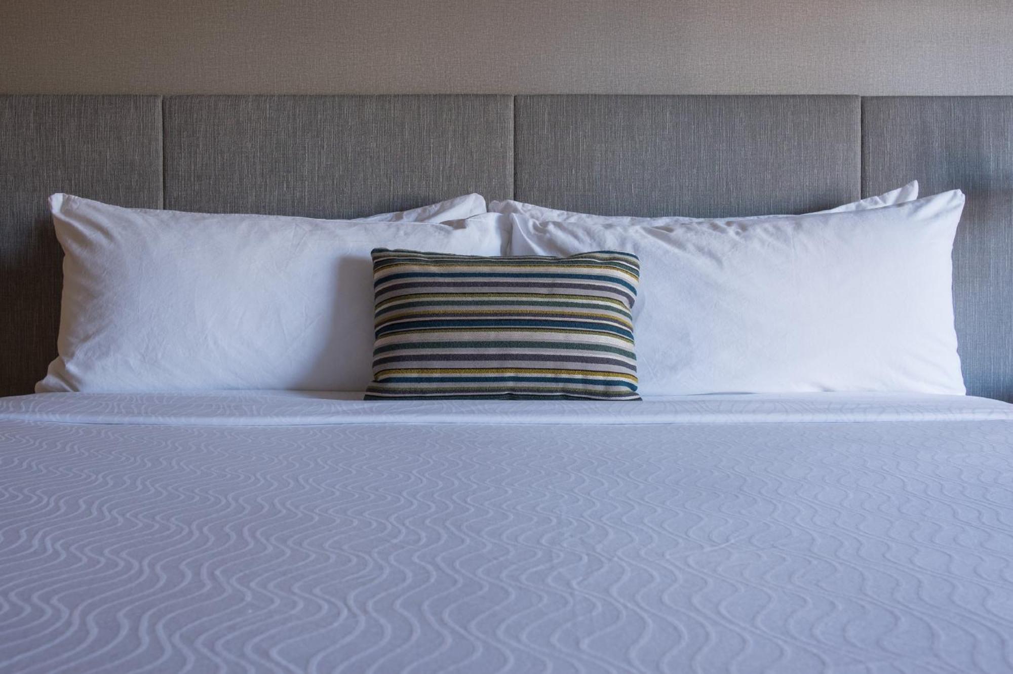 Hotel Indigo Napa Valley By Ihg Eksteriør billede